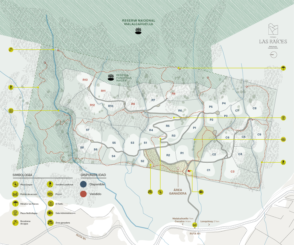 Masterplan_Fundo-las-Raíces_020326